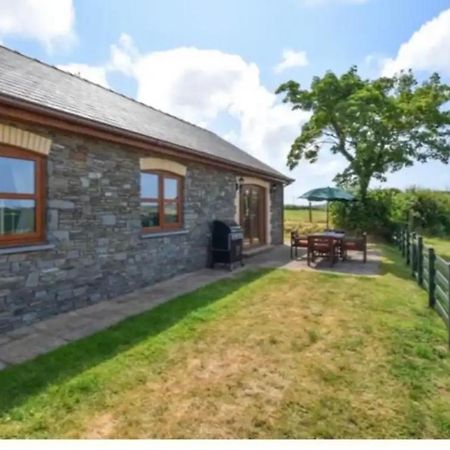 Blaengader Cottages DINAS Aberystwyth Exteriör bild