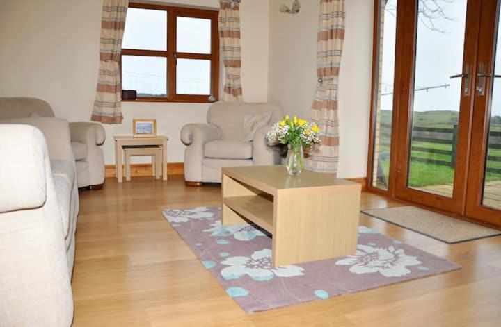Blaengader Cottages DINAS Aberystwyth Exteriör bild